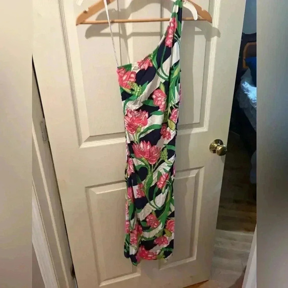 Lily Pulitzer dress - Picture 1 of 4